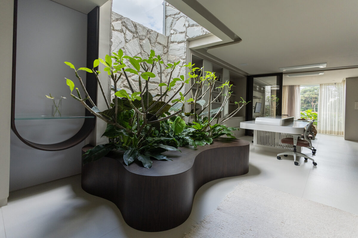 Recepção do escritório Casa Palse com jardim escultural